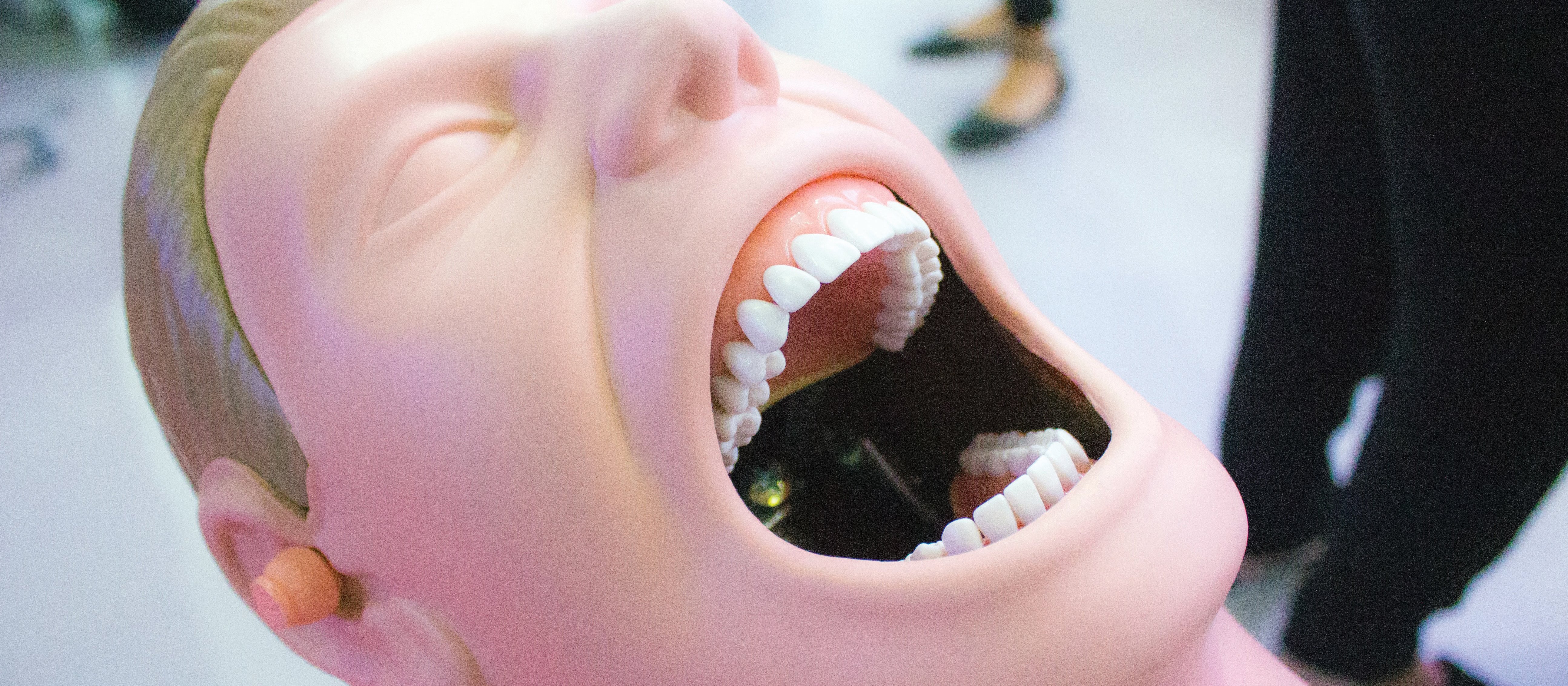 mouth model CR Quang-Tri Nguyen on Unsplash