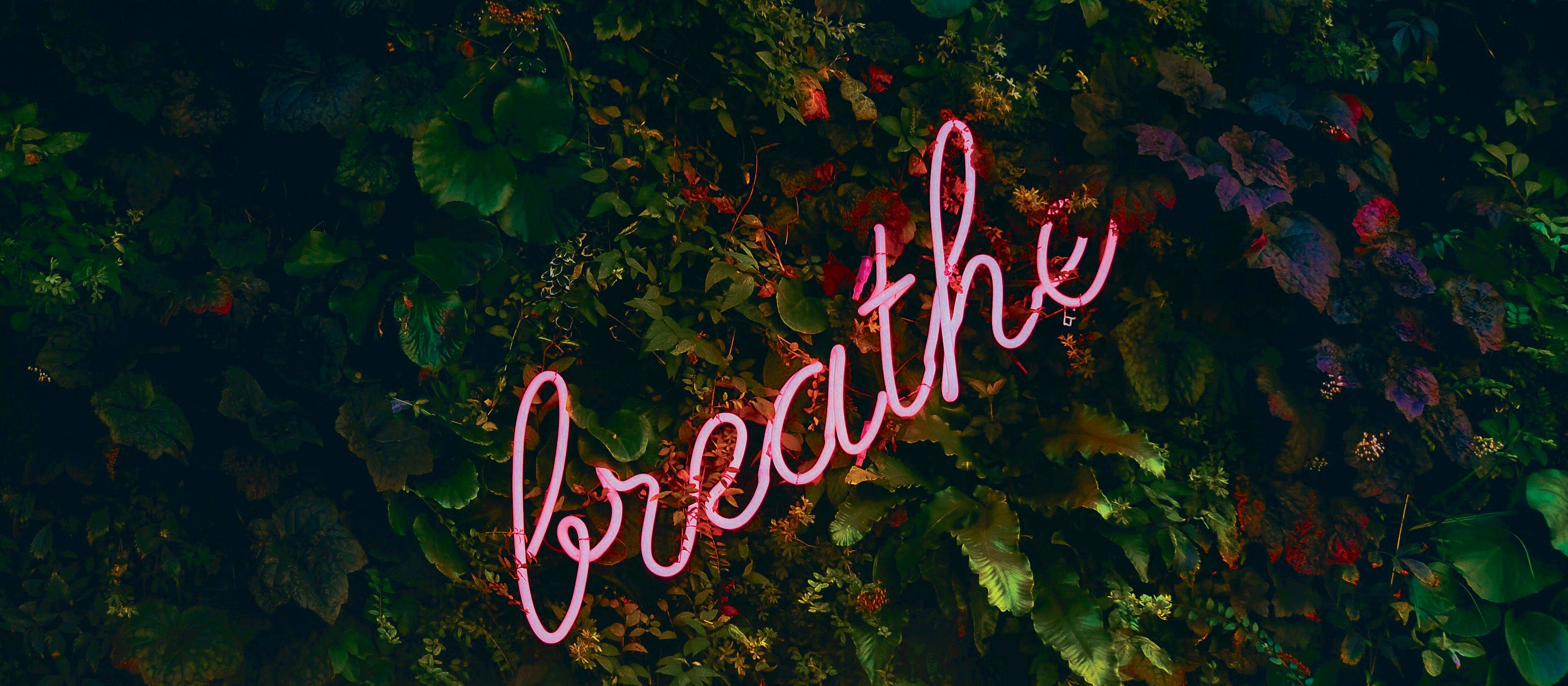 Breathe sign CR Tim Goedhart on Unsplash
