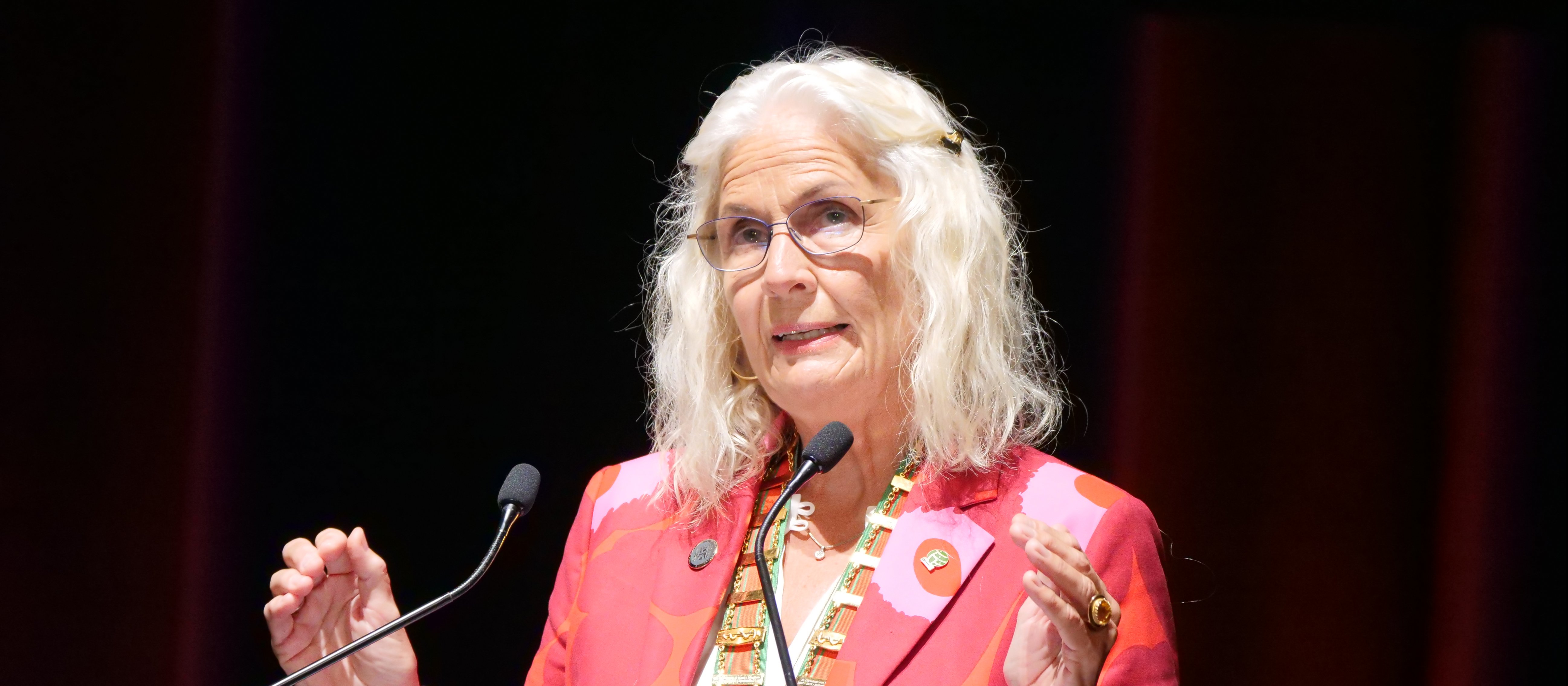 Anna Stavdal--speaking at WONCA_