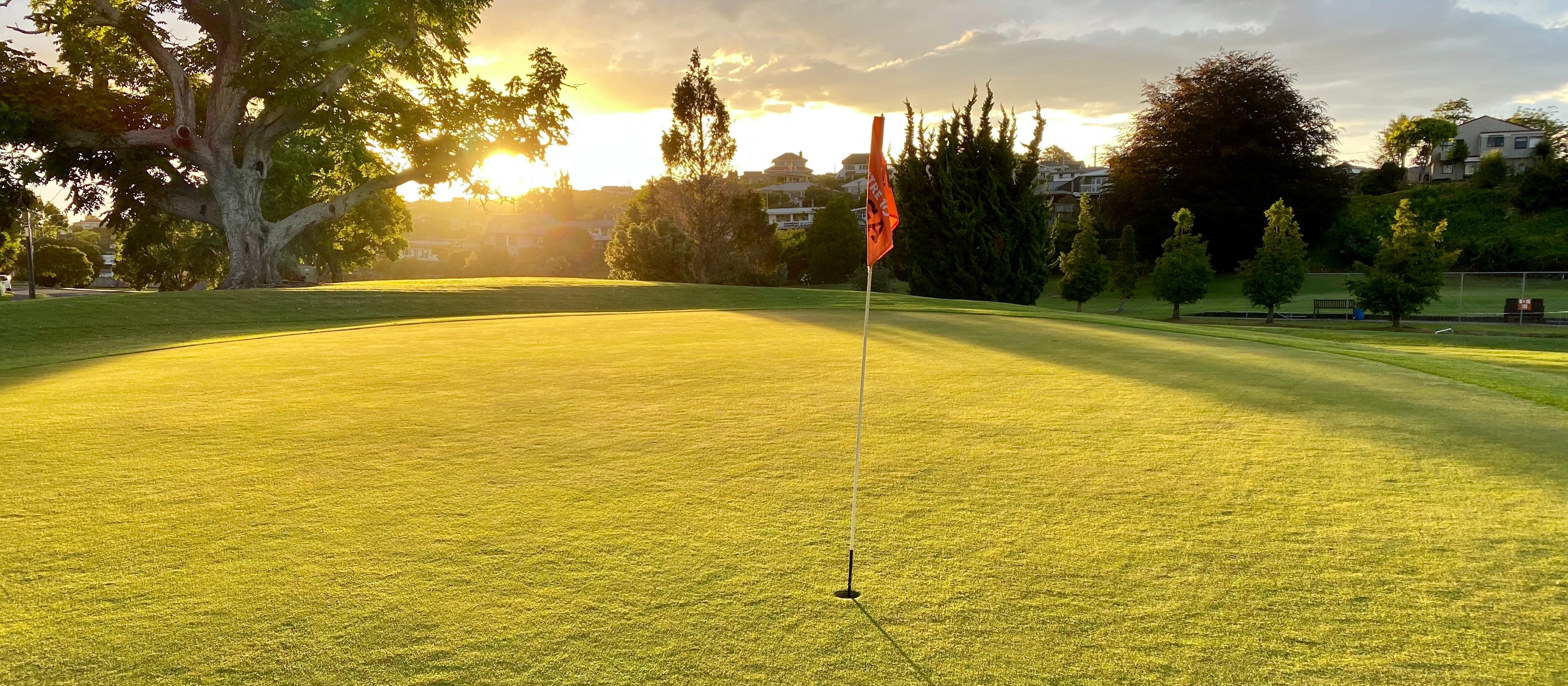 golfing