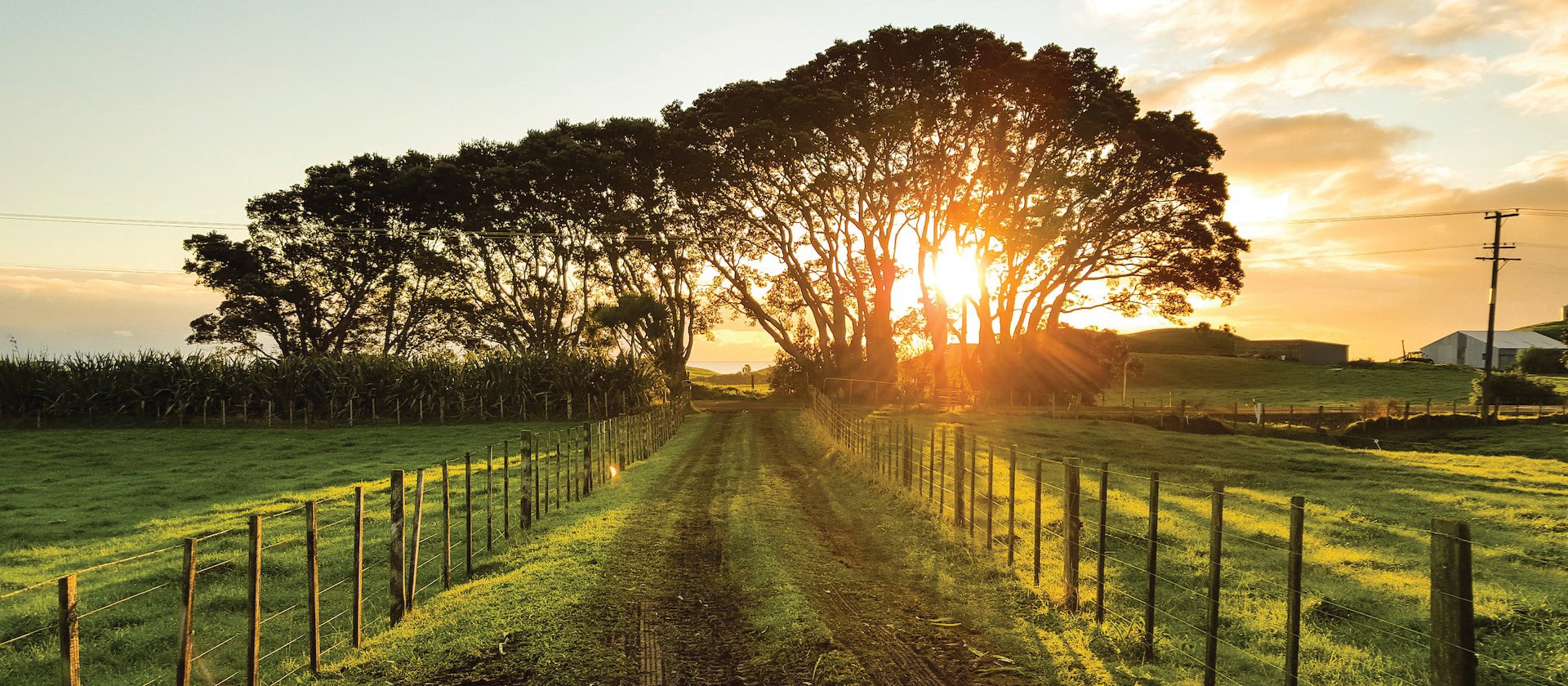 Rural NZ CR Werner Sevenster on Unsplash