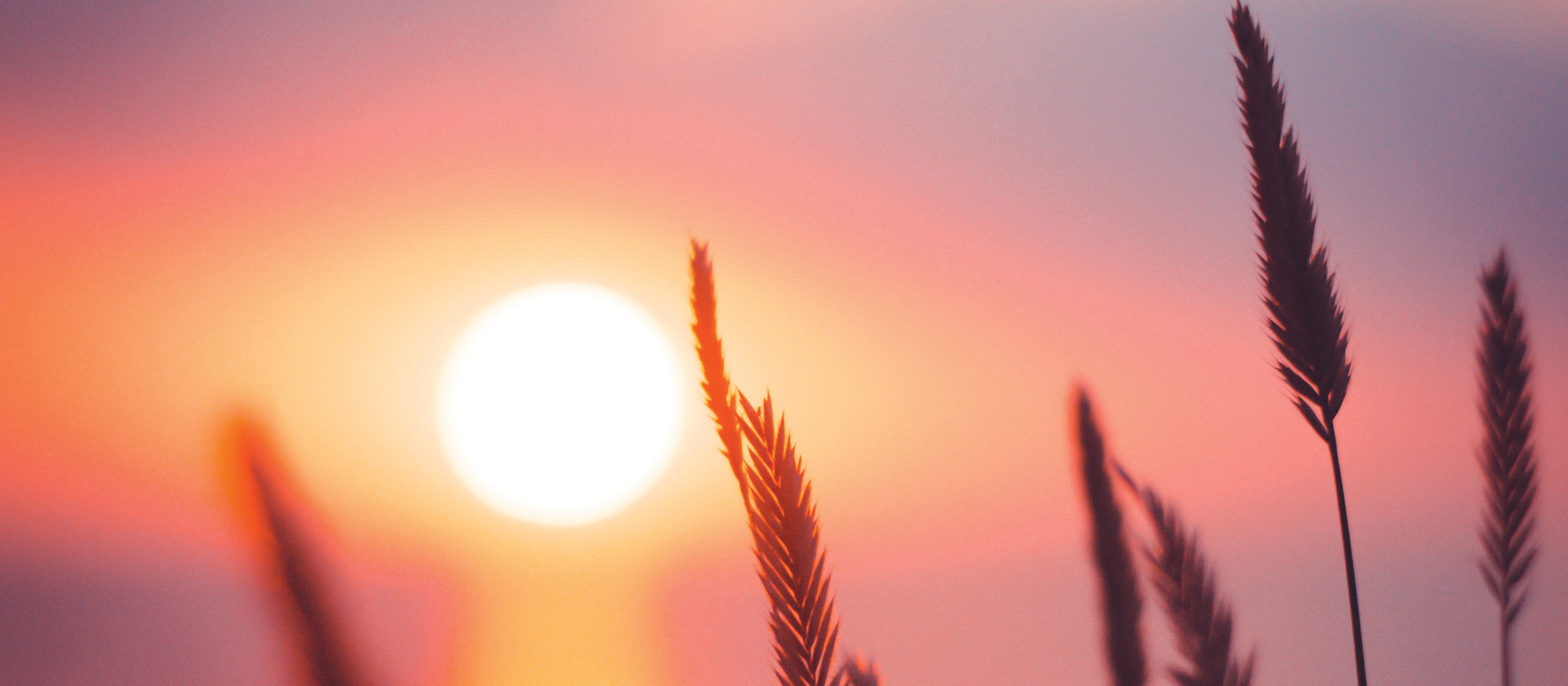 Sunrise CR Ann Savchenko on Unsplash