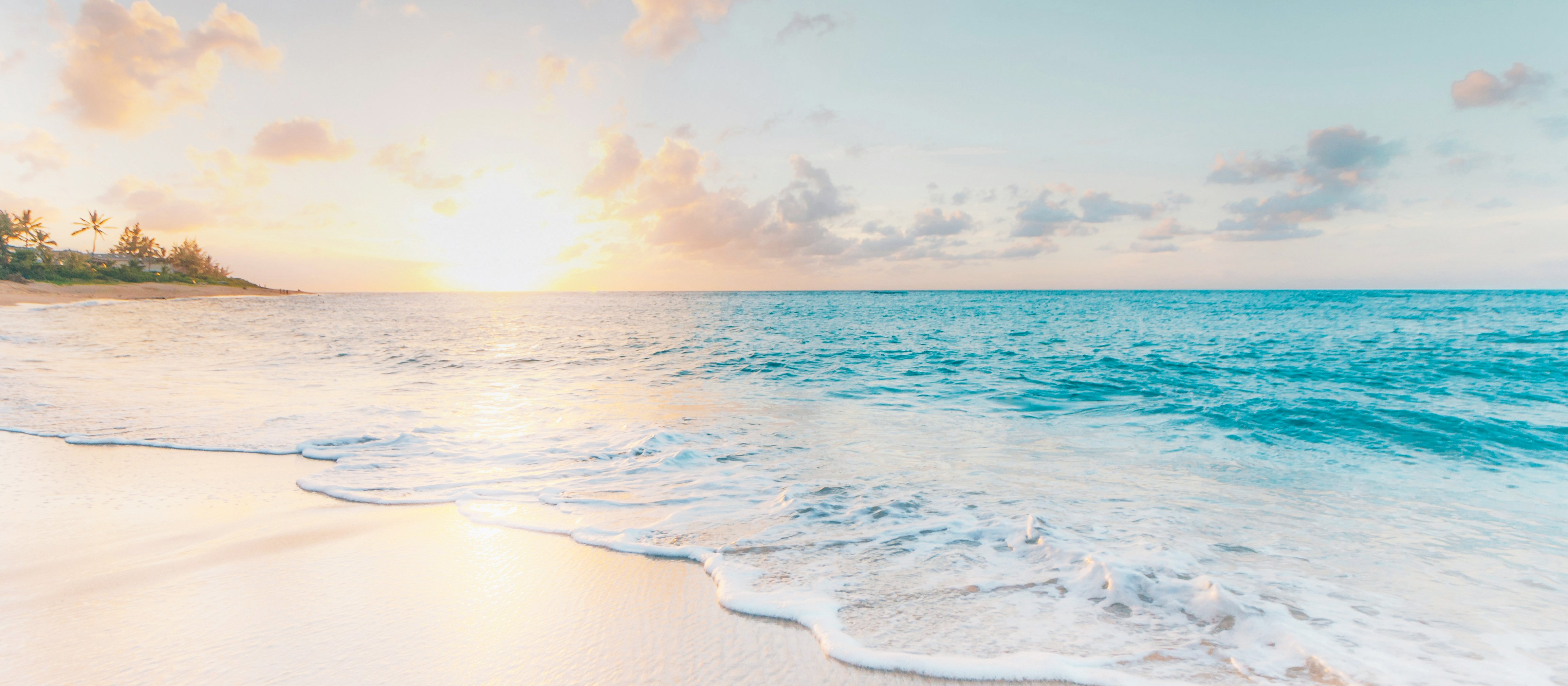 Beach Sand CR Sean Oulashin on Unsplash