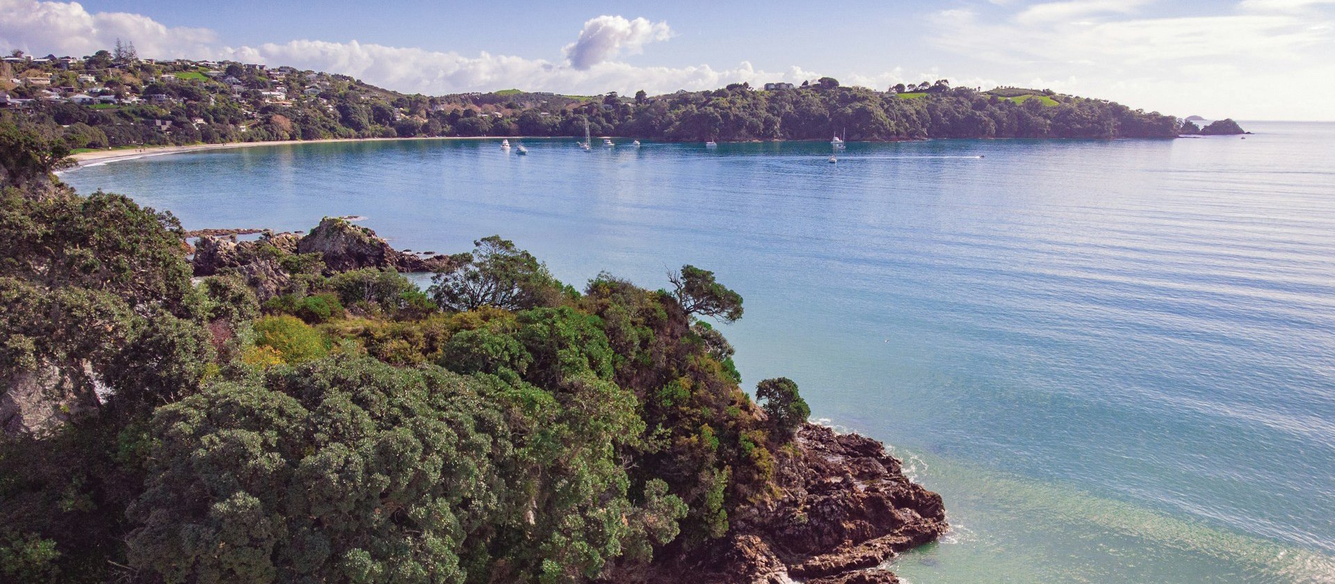 Waiheke view CR Look up look down photography on Unsplash