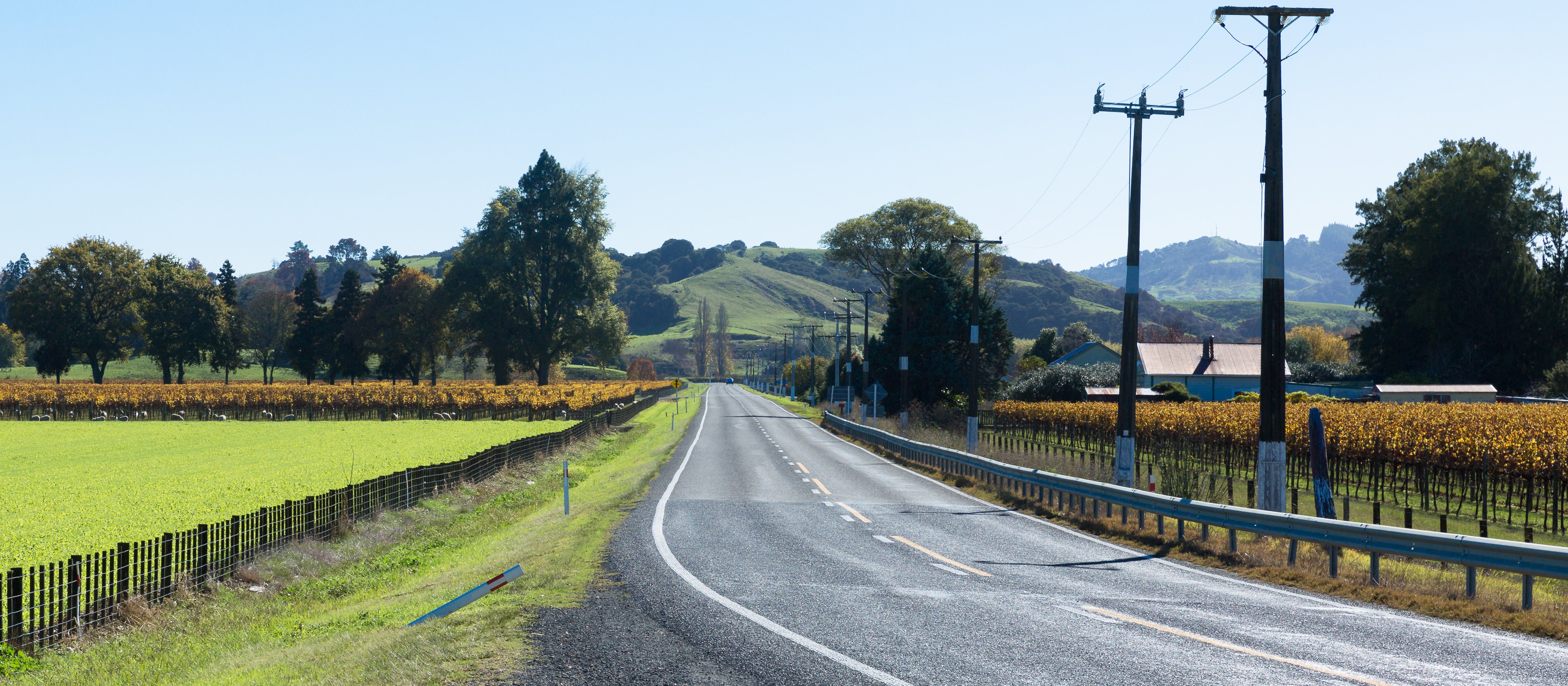 Rural road Hawke's Bay