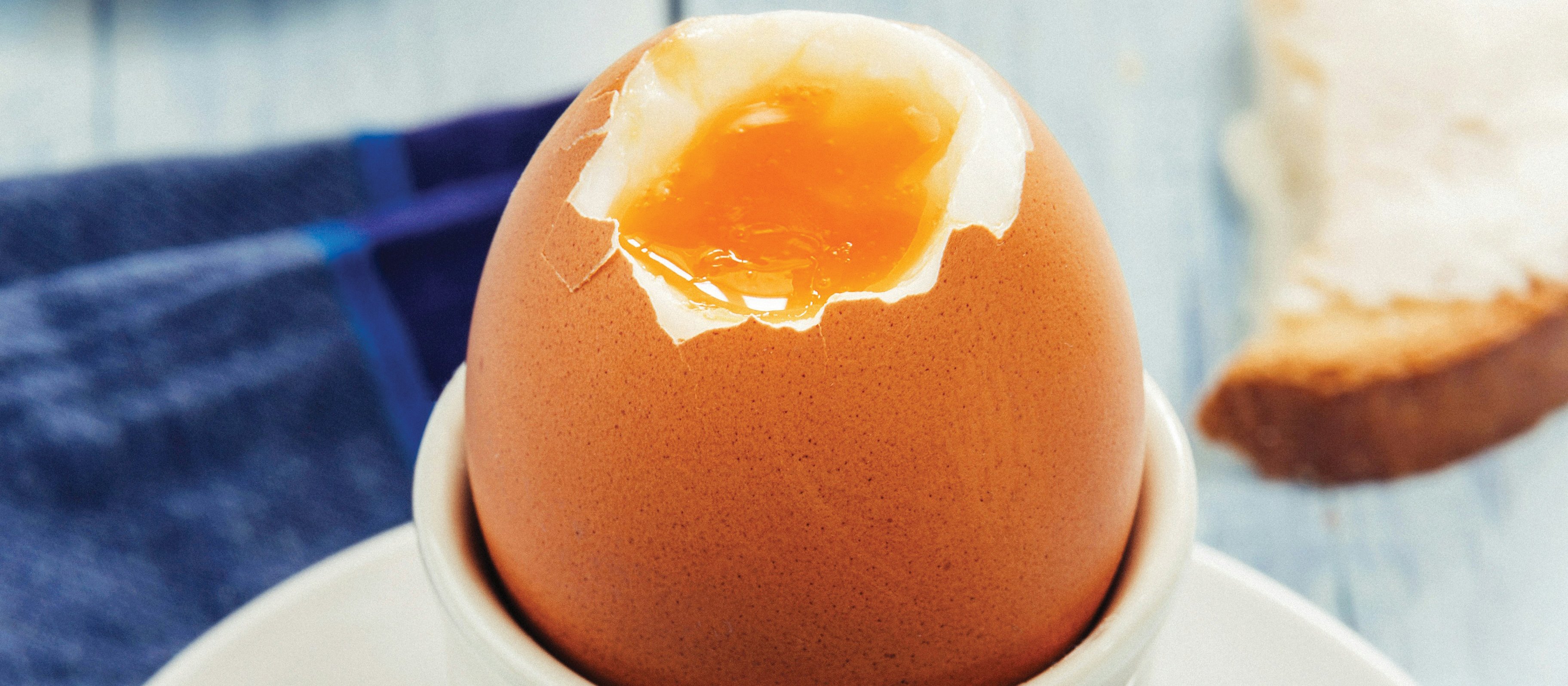 Boiled Egg