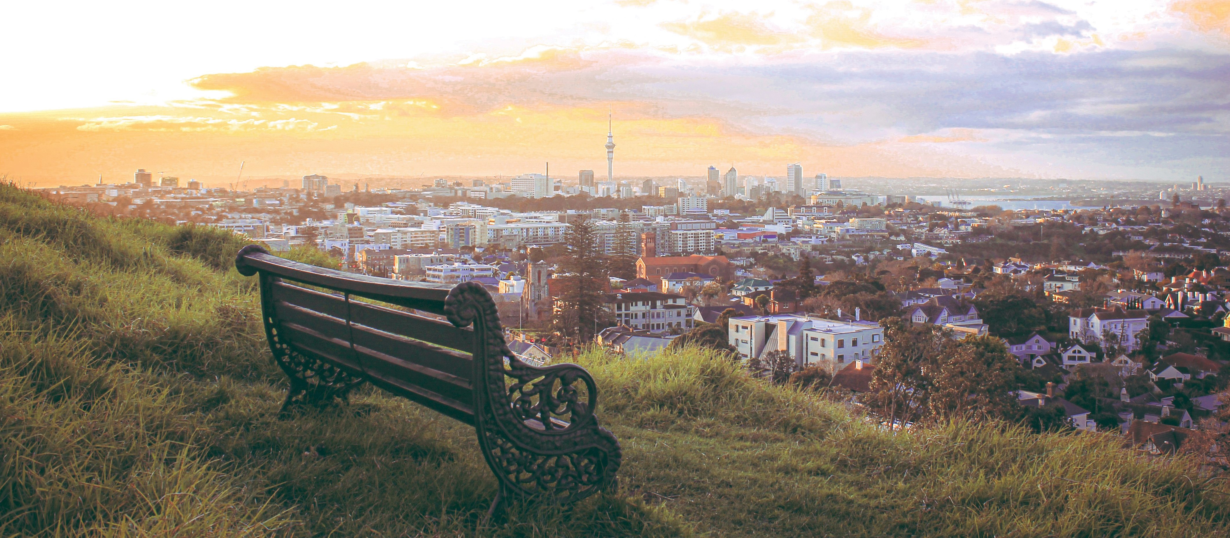 Auckland City CR AR on Unsplash