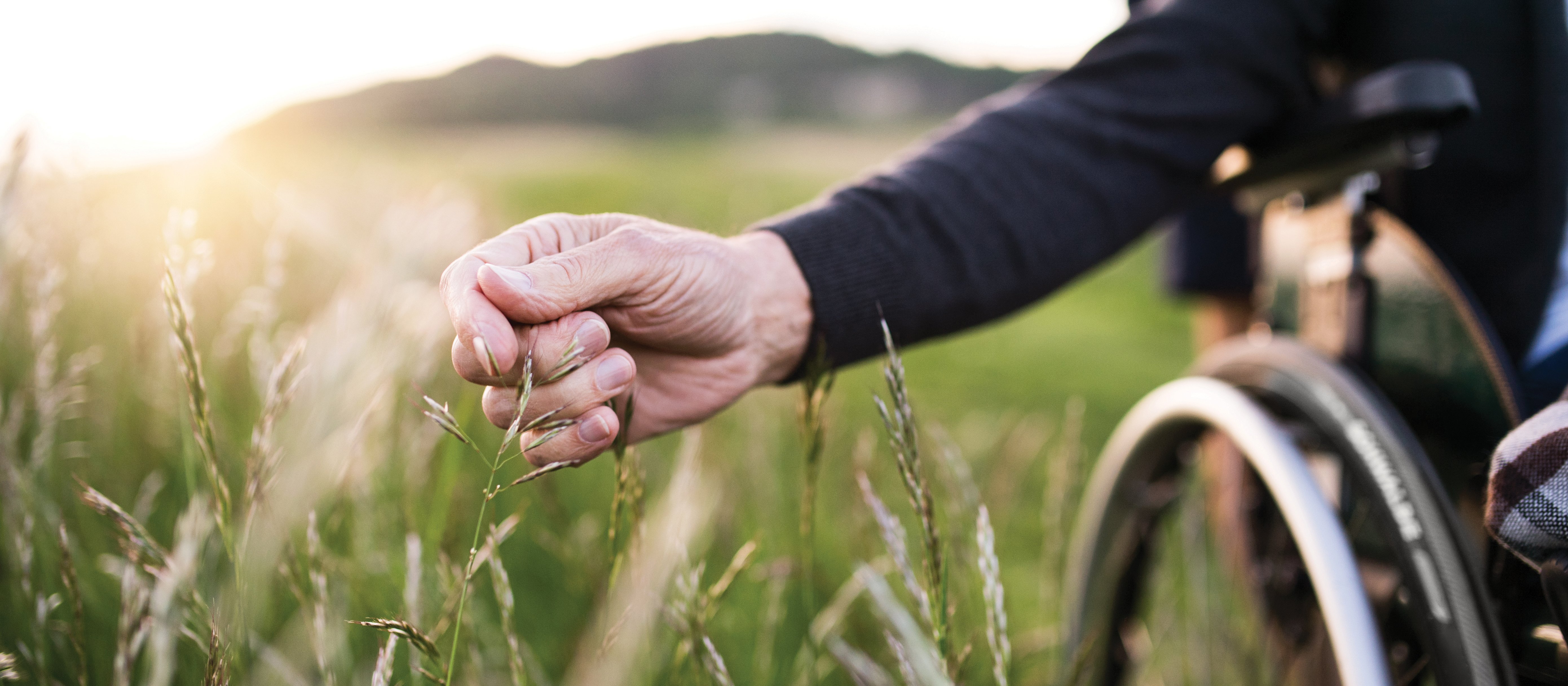 Hand Wheelchair Field CR Halfpoint on iStock 