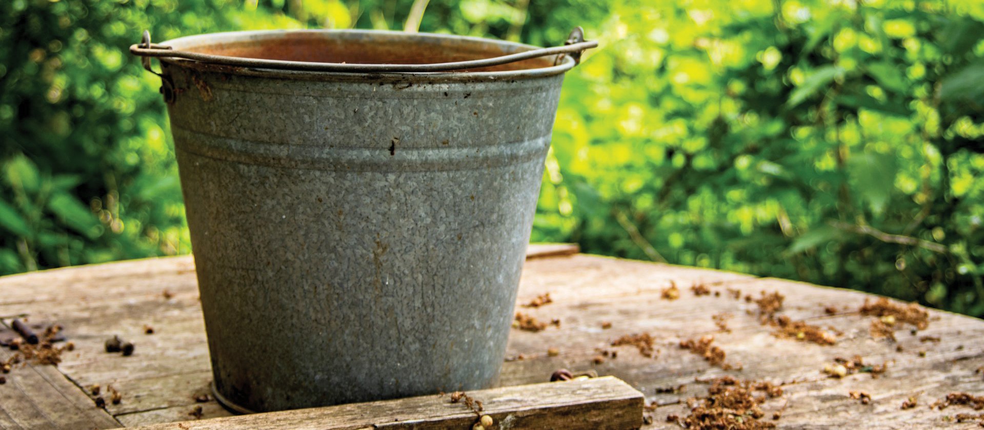 Bucket grey metal CR Lucas Van Oort on Unsplash