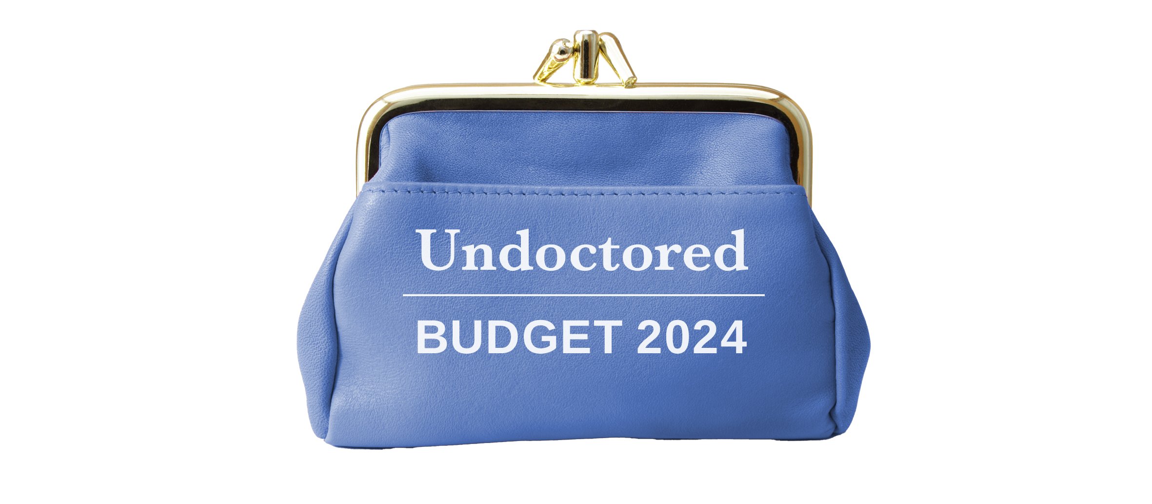 Budget-2024_Undoctored_Blue