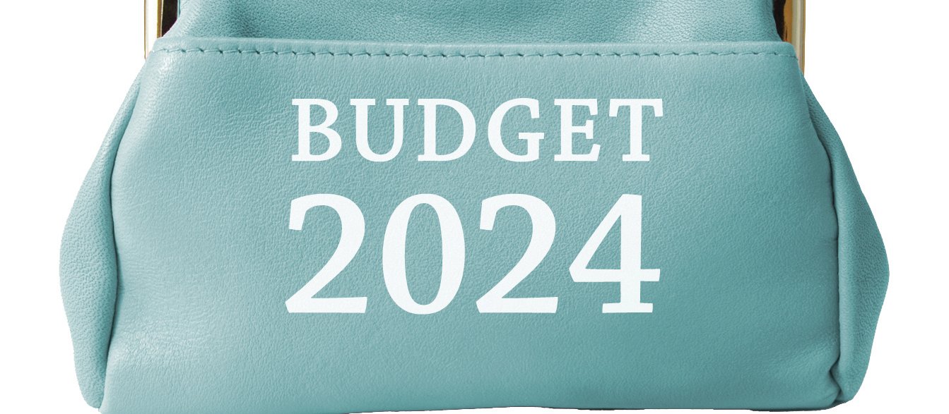Budget 2024 purse 