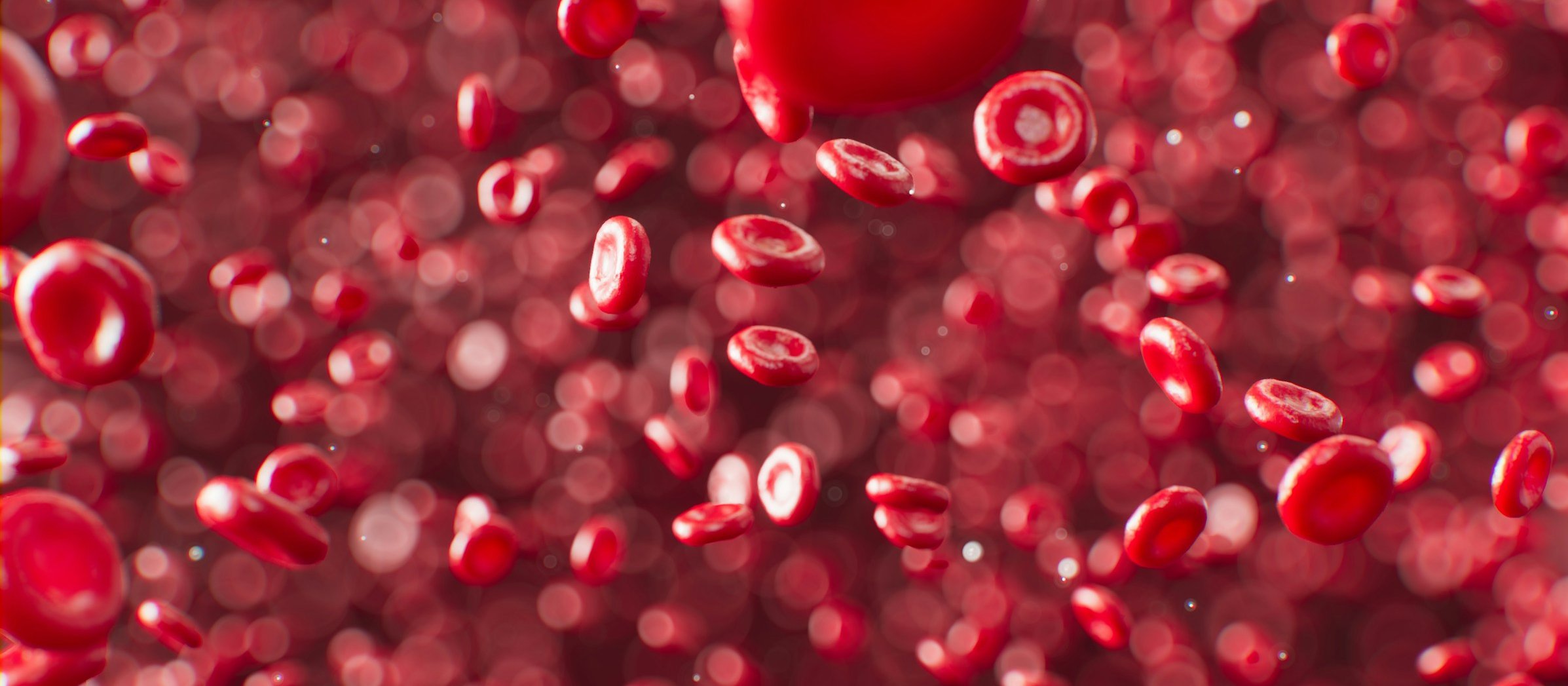 Red blood cells
