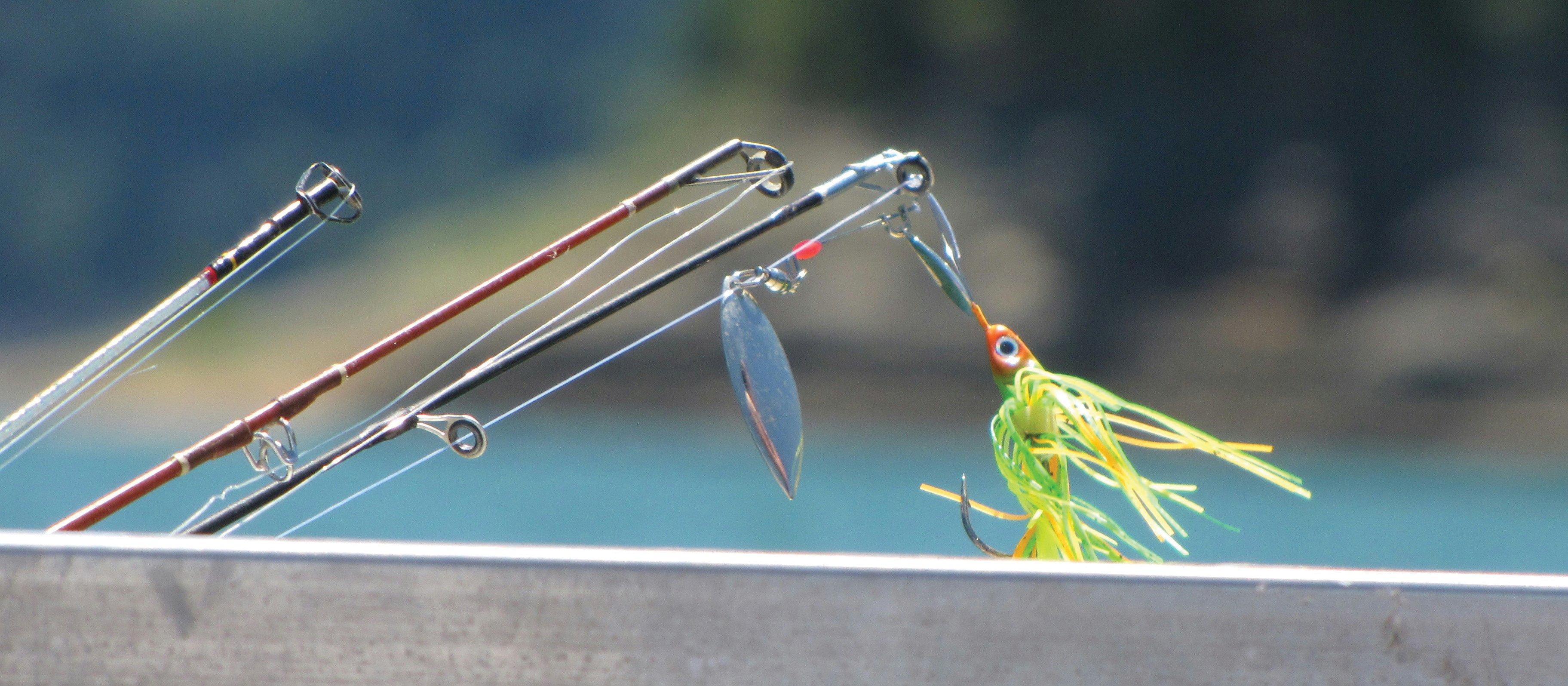 Fishing rods CR Susan Holt Simpson on Unsplash
