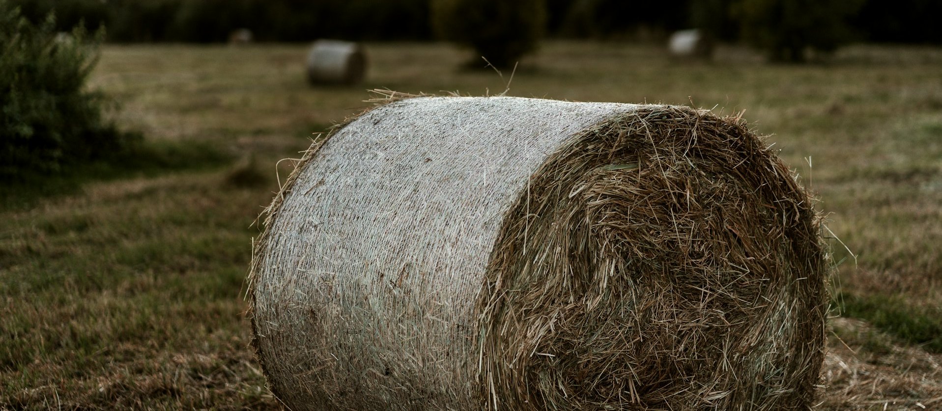 Hay bale in field CR Michelle Mirabell on Unsplash