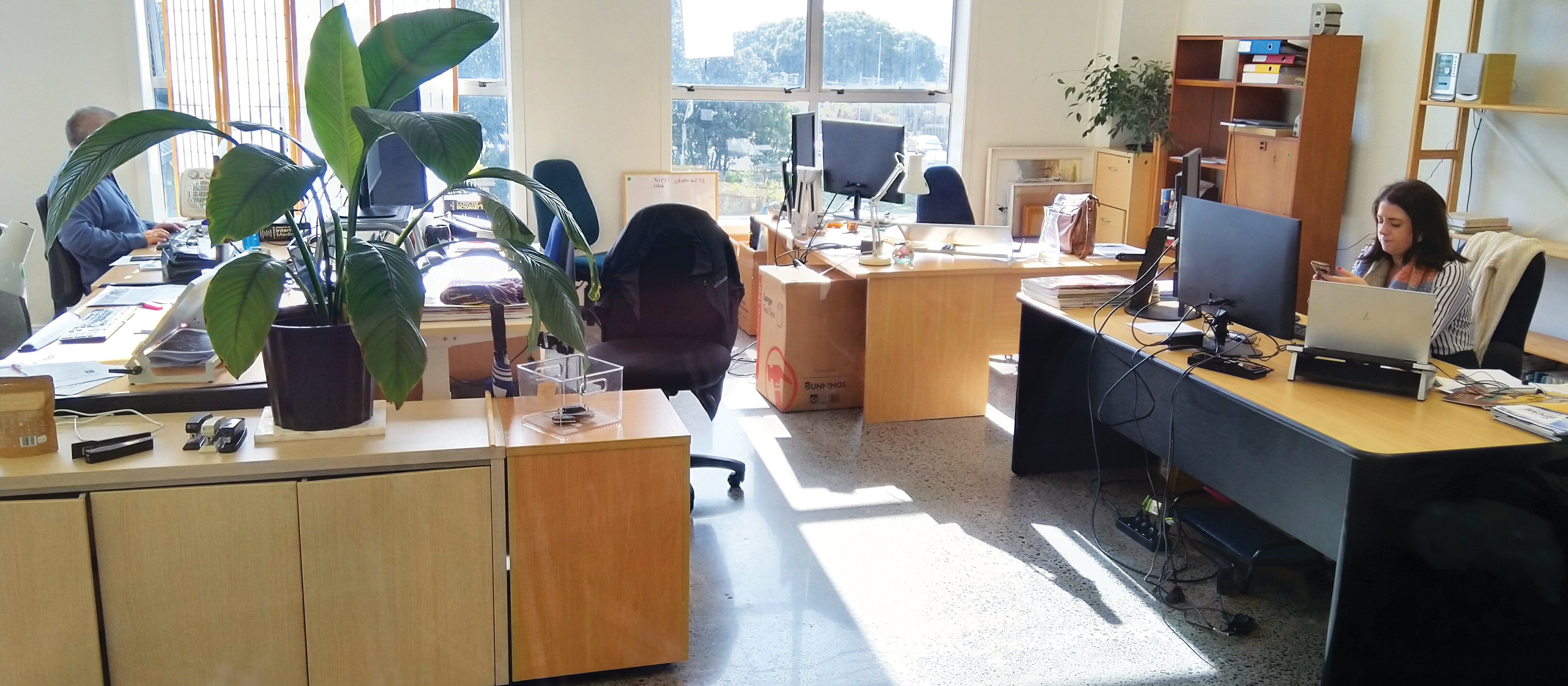 Parnell Office B