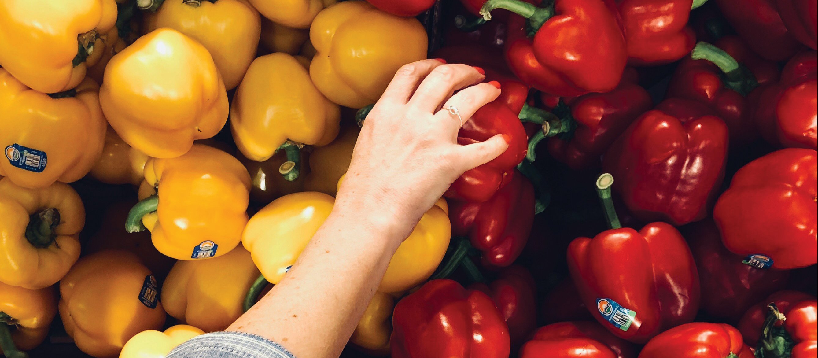 Capsicums
