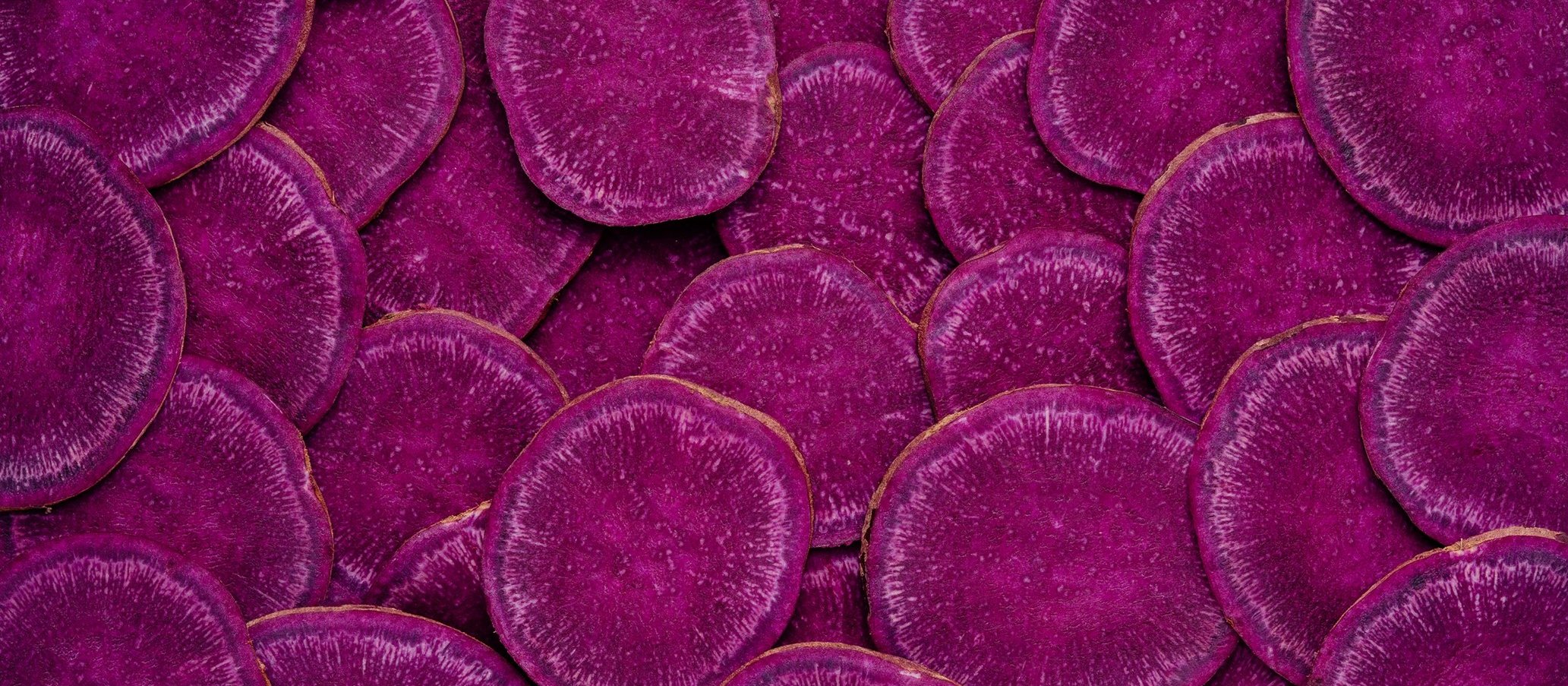 Beetroot stock 365