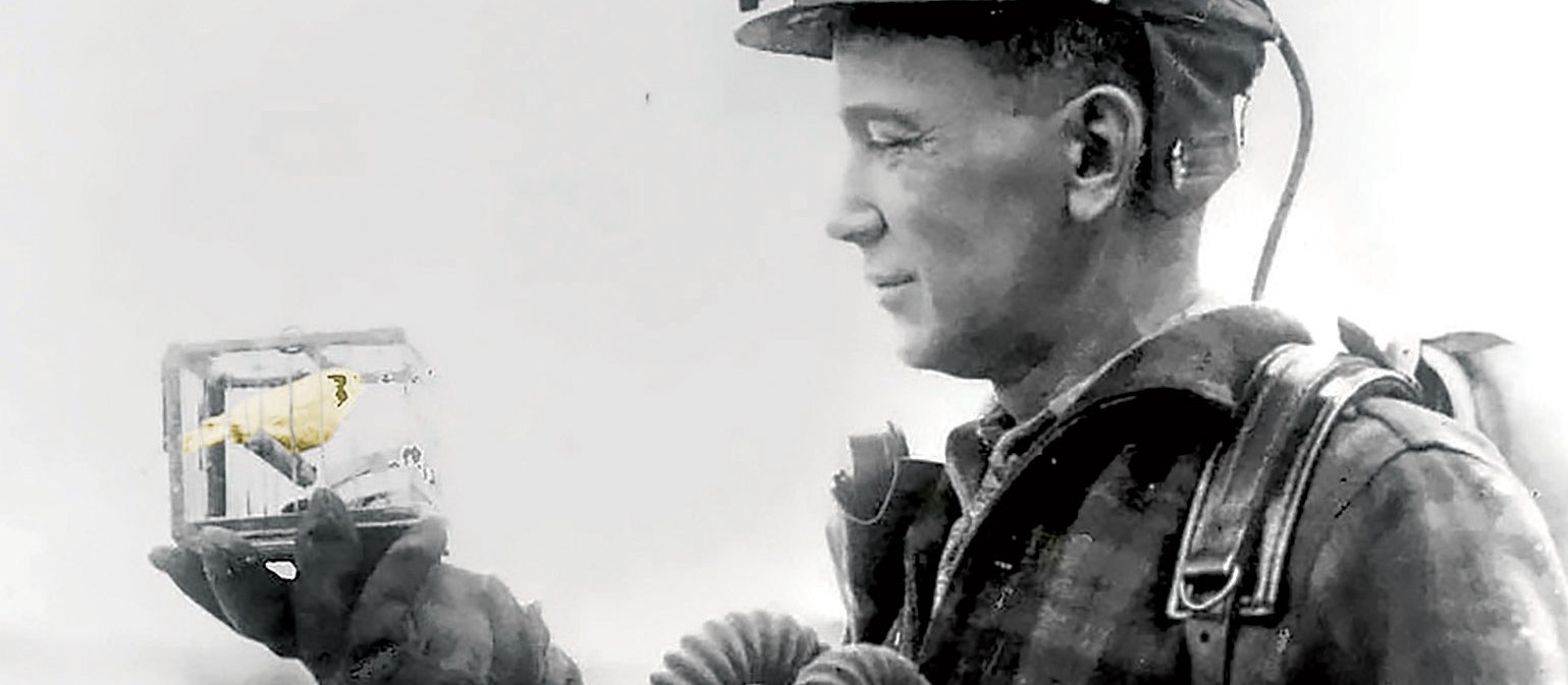 Canary in coalmine
