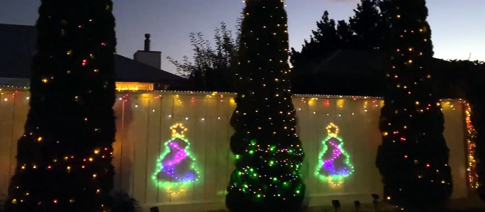 Christmas Tree lights  at GenPro Mark Liddle's house