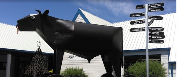 Bull Statue PMAANZ