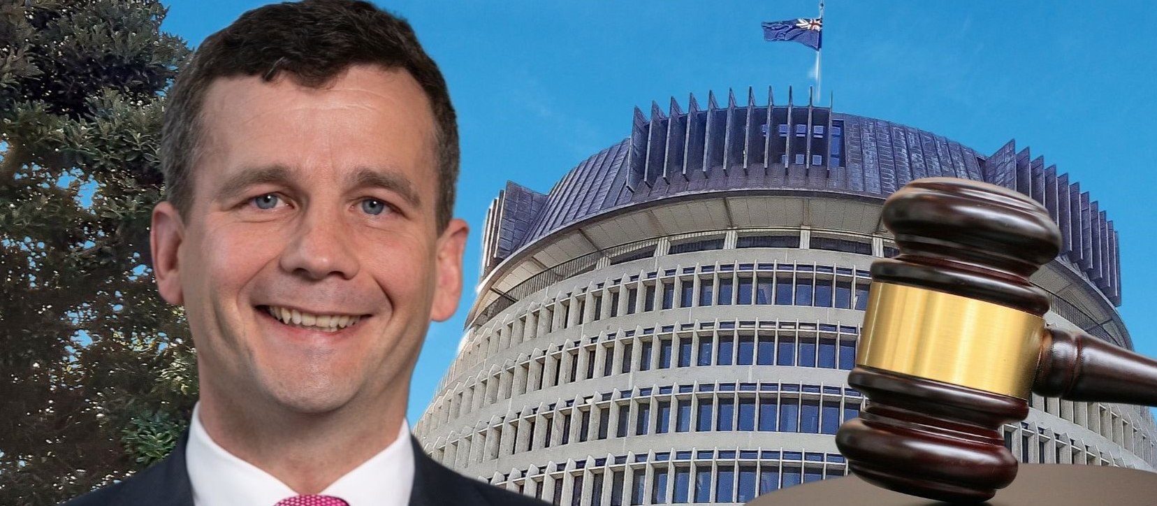 David Seymour, law, regulation, politics
