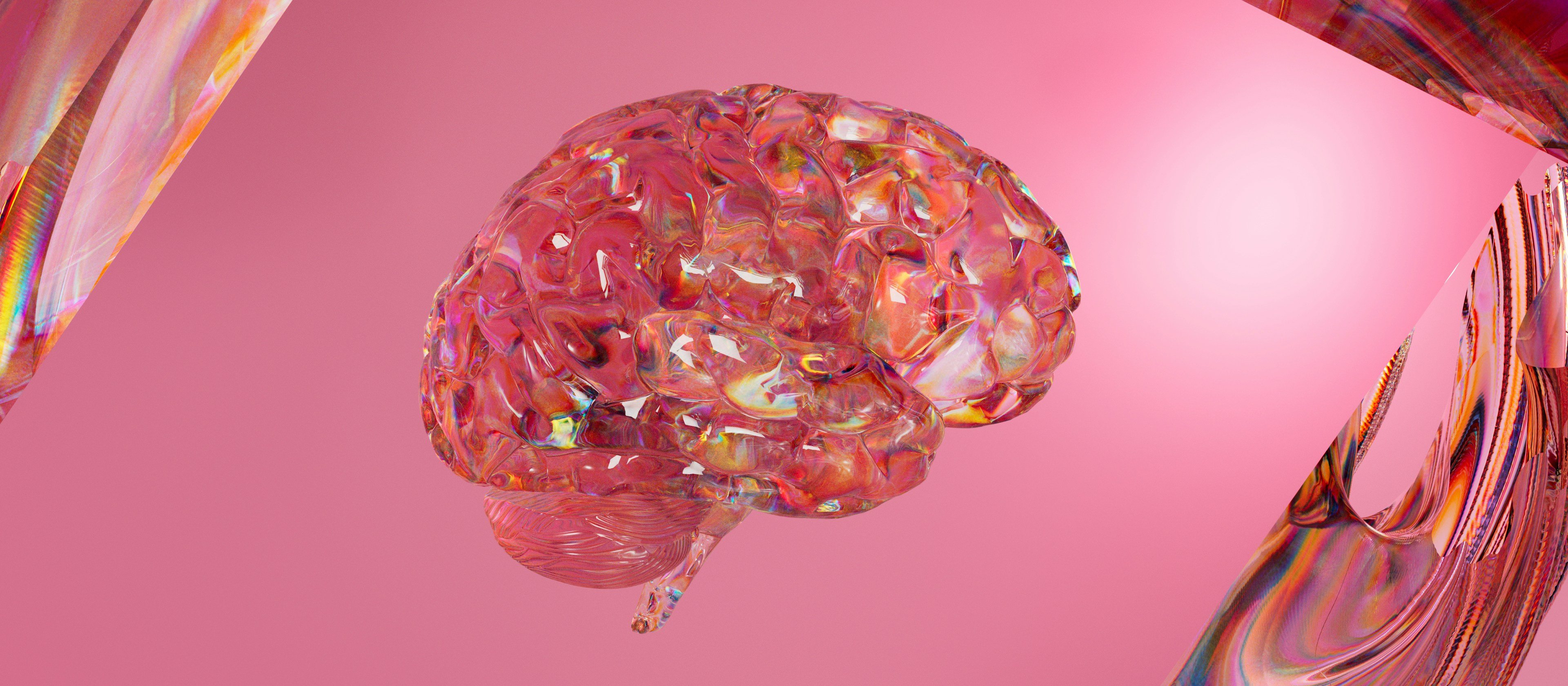 Brain