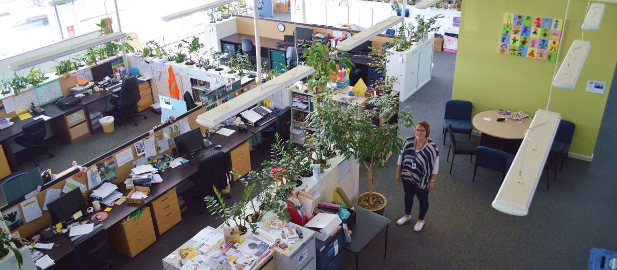 Beth Tester health hub Blenheim