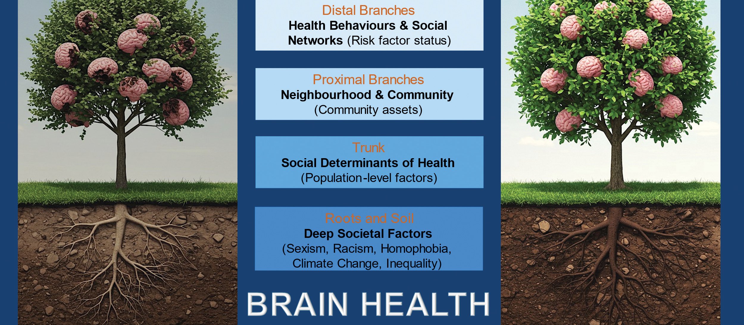 Older-People_Brain-Tree