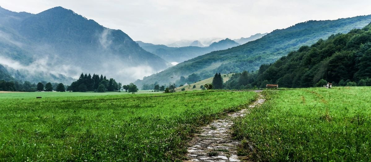 Rural scene path