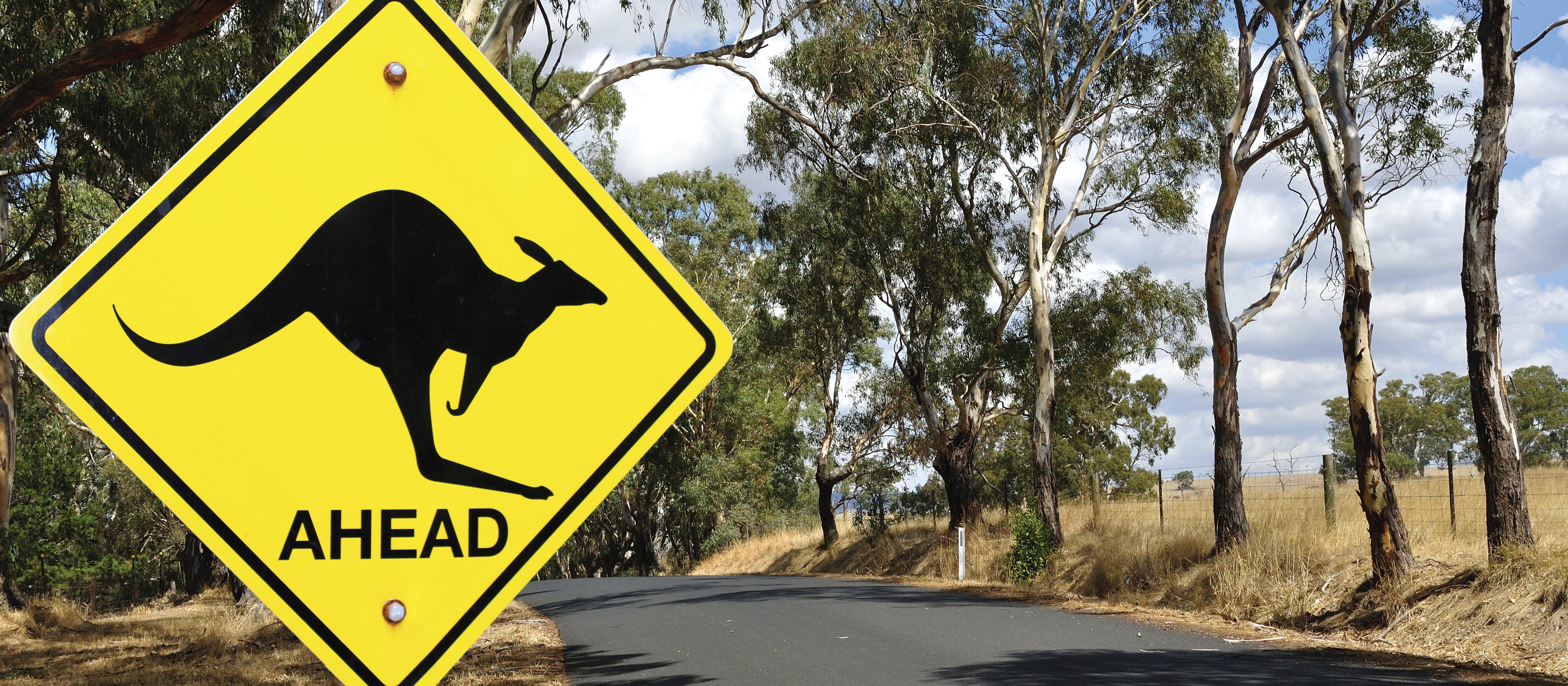 Kangaroo sign 