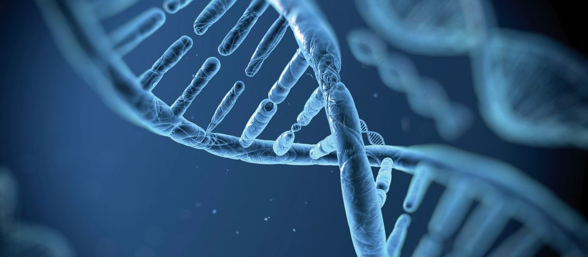 DNA