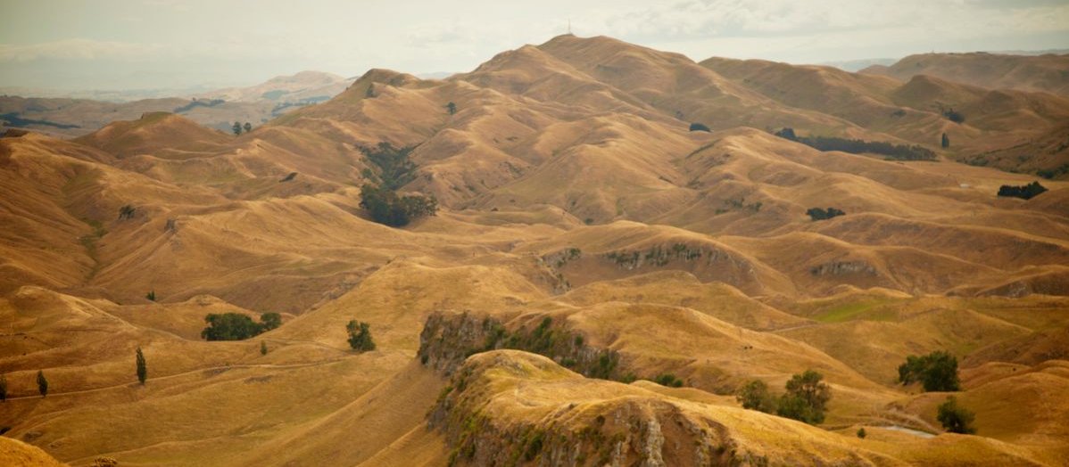 Hawke's Bay hills, Havelock North