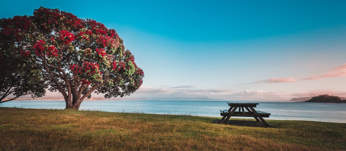 Paihia Sunrise Beach CR YiuCheung on iStock