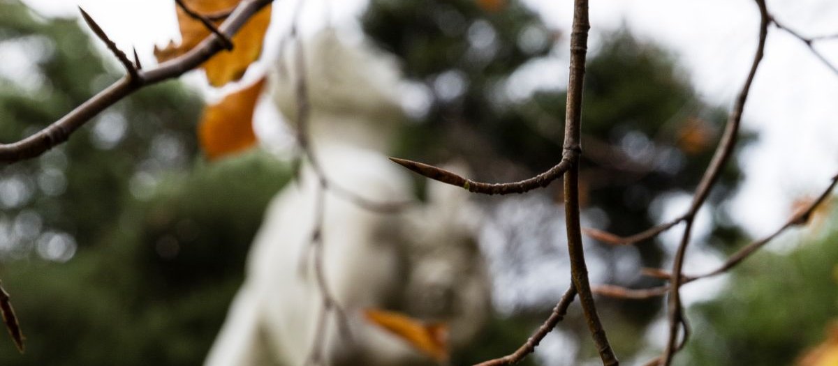 Autumn in the graveyard CR Virginia McMillan