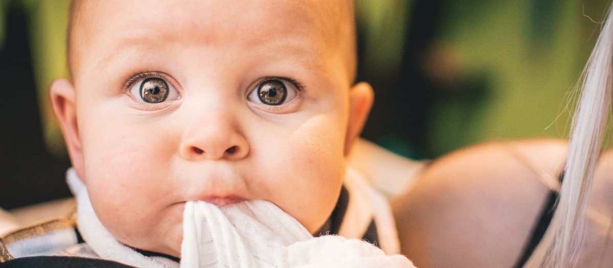 Baby CR Matt Walsh on Unsplash