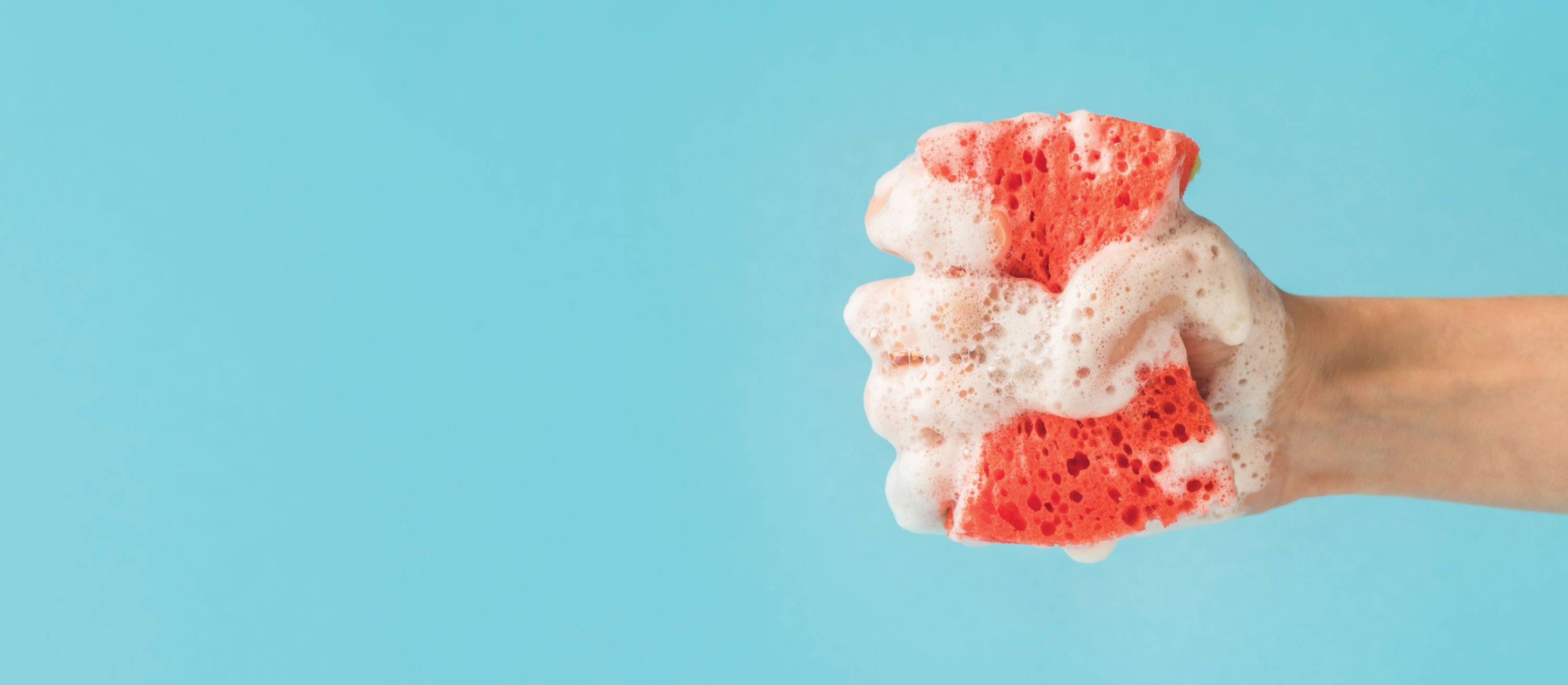 Sponge, squeeze, clean
