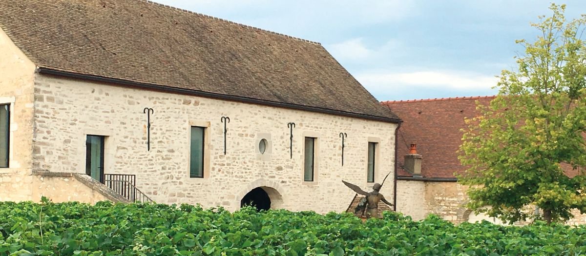 Burgundy vineyard