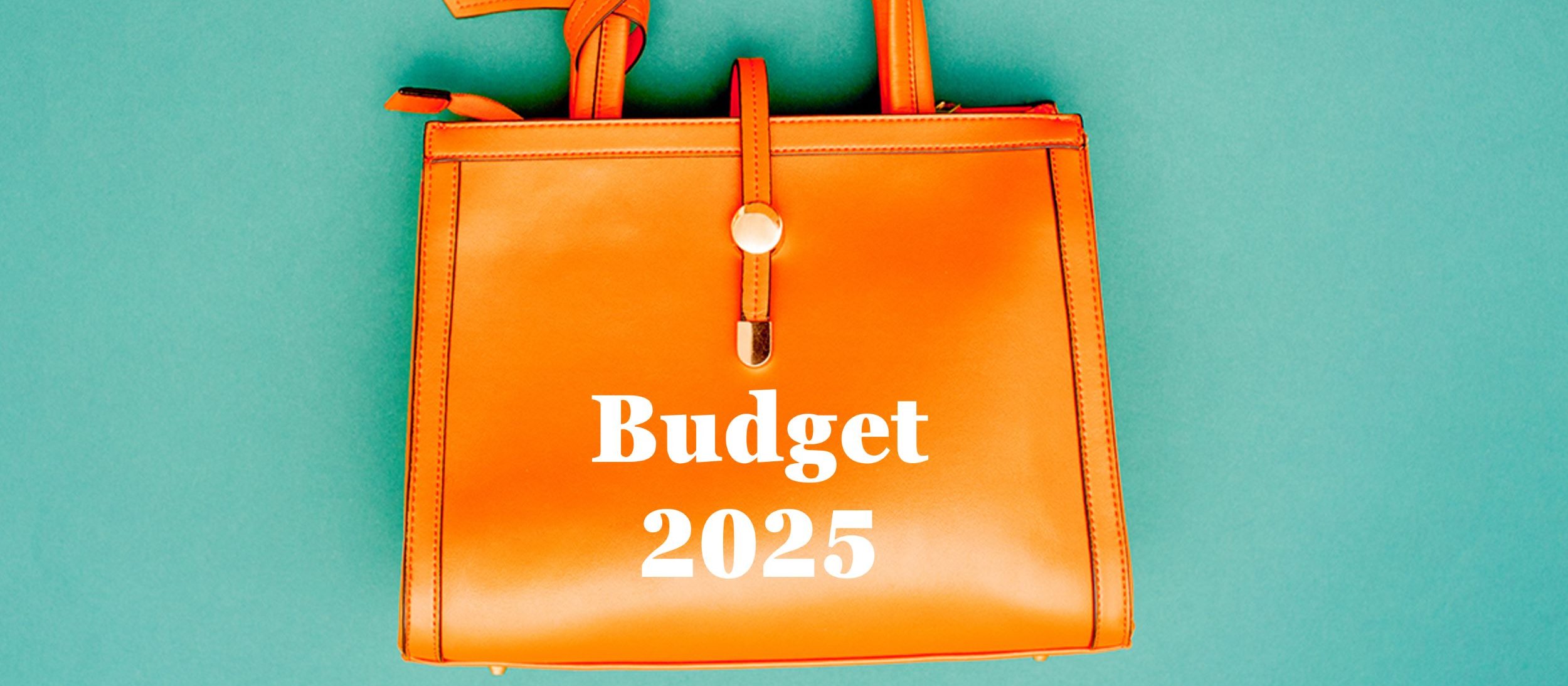 Budget 2025 purse 