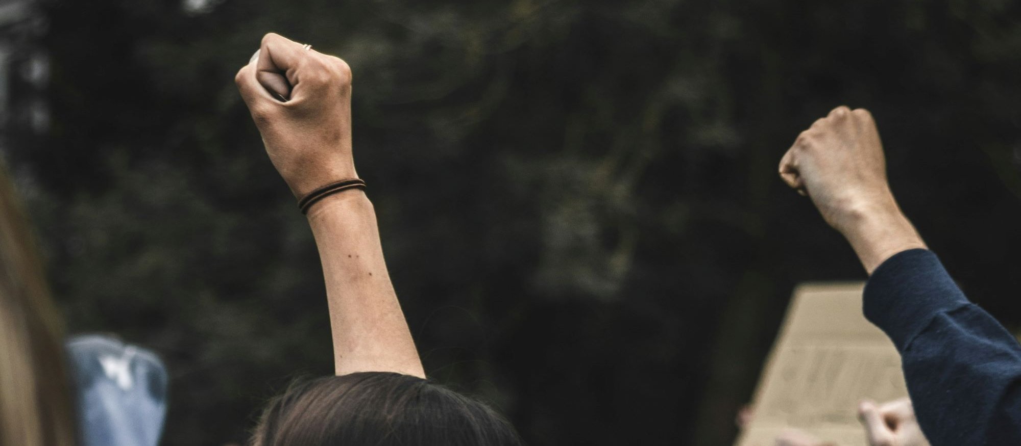 Protest, crowd, fist