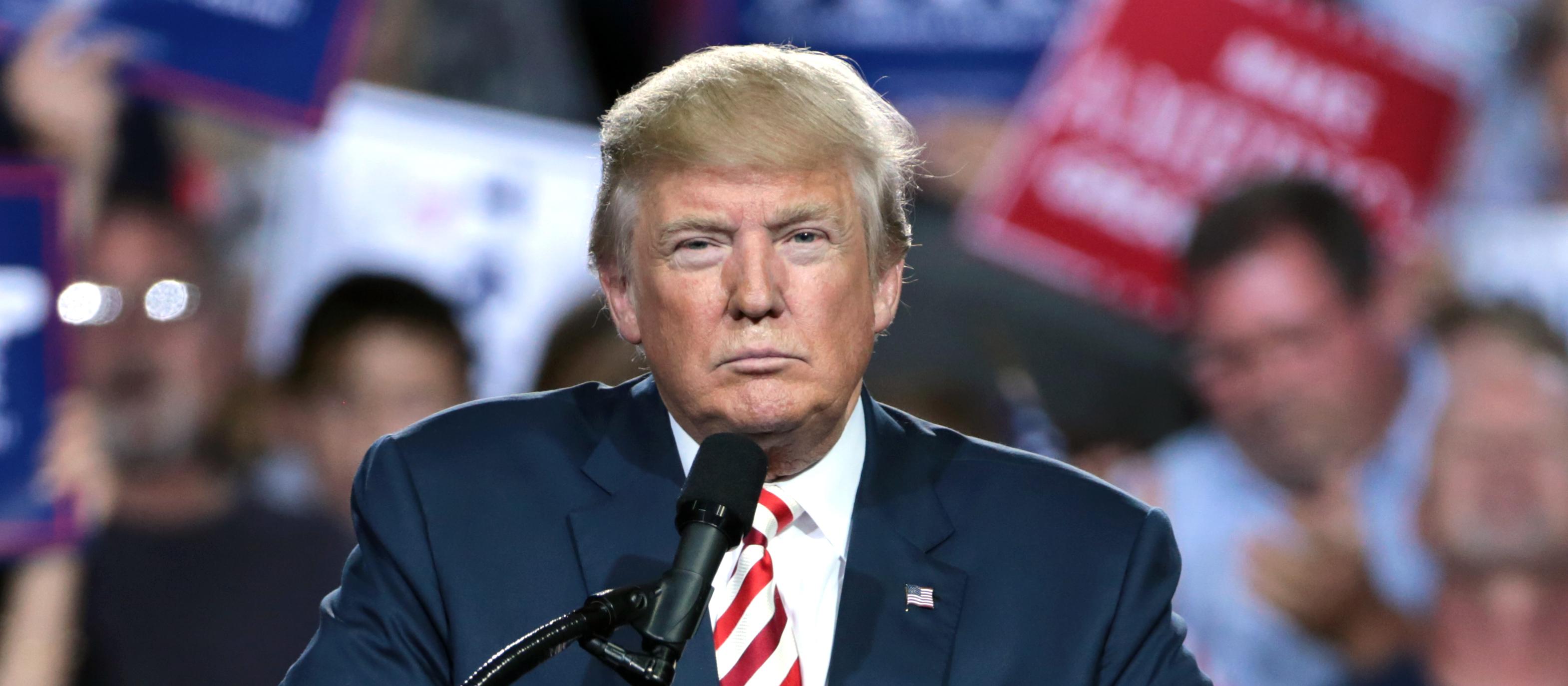 Donald Trump image
