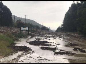 Roxburgh flooding