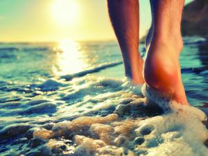 beach walk