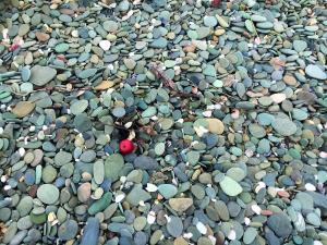 Stony beach and apple