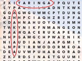 Wordfind 2
