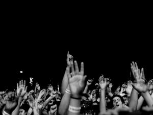 Crowd of hands
