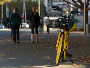 YELLOW BICYCLE, WGTN