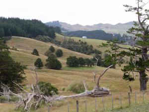 Rural view