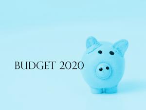 Budget 2020 Piggy_blue