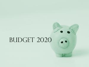 Budget 2020 Piggy_green