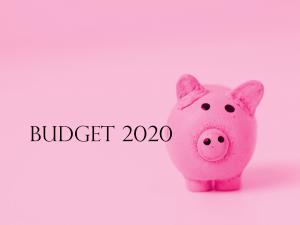 Budget 2020 Piggy_pink